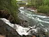 Trollåga renner ut i Beiarelva. Foto: Frank Øvrewall