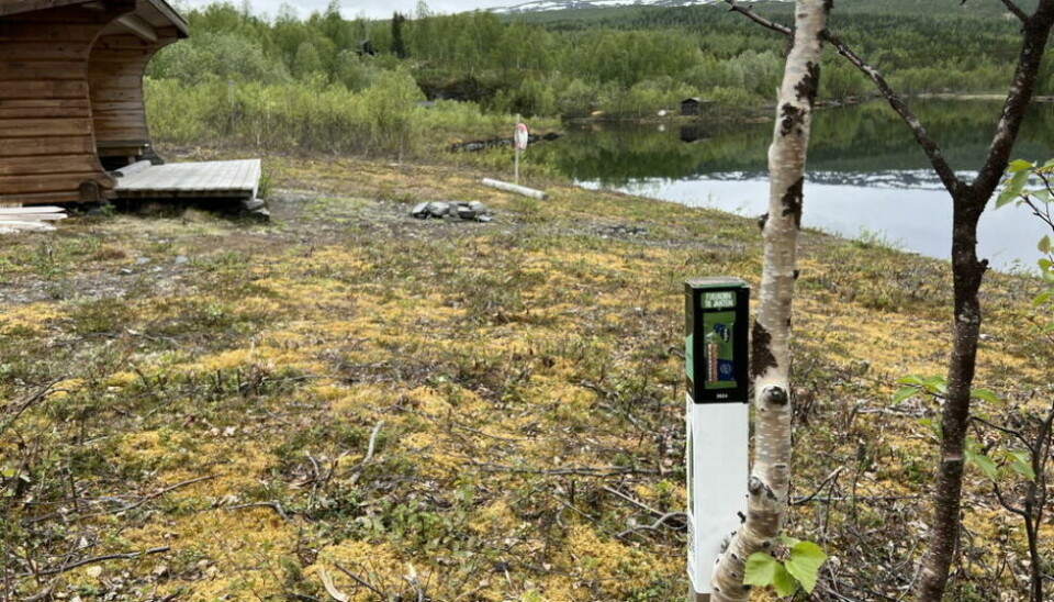 PLANENE KLARE. Det er nå klart i hvilke områder neste års Stolpejakt i Sulitjelma vil gå i. Her fra et tidligere år der en av stolpene var plassert ved Emmavann i Daja.