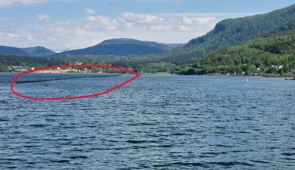 FARLIG. Det er observert lek på og ved rørene som ligger i sjøen langs Langstranda, noe som anses veldig farlig. FARLIG. Det er observert lek på og ved rørene som ligger i sjøen langs Langstranda, noe som anses veldig farlig. Foto: Jon Meisfjord/Sisomar