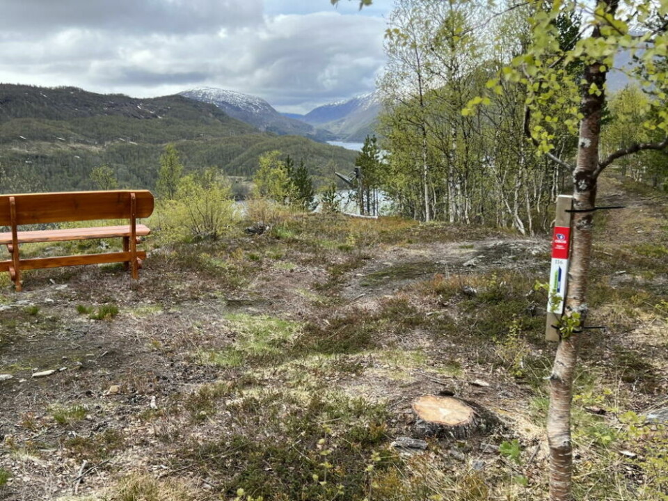 SULISAKTIVITET. Det blir stolpejakt i Sulitjelma og i øvre Valnesfjord i år, kanskje blir det også mulig å jakte stolper i Saltdal men dette er ikke endelig avklart ennå. Her er en av fjorårets stolper i Sulitjelma, plassert i aktivitetsløypa. SULISAKTIVITET. Det blir stolpejakt i Sulitjelma og i øvre Valnesfjord i år, kanskje blir det også mulig å jakte stolper i Saltdal men dette er ikke endelig avklart ennå. Her er en av fjorårets stolper i Sulitjelma, plassert i aktivitetsløypa. Foto: Morten Selnes
