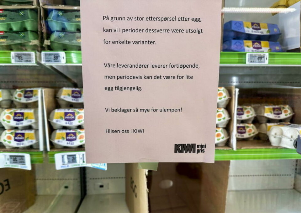 ADVARER. Om folk lar vær å hamstre egg, vil det etter all sannsynlighet være nok til alle over påsken. ADVARER. Om folk lar vær å hamstre egg, vil det etter all sannsynlighet være nok til alle over påsken. Foto: NTB