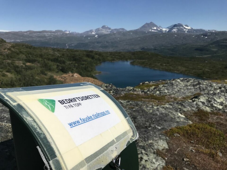 Ti på topp er en utmerket idébank for å finne nydelige turer, men vær forsiktig med å la tur-konkurranser bli viktigere enn selve turene. Ti på topp er en utmerket idébank for å finne nydelige turer, men vær forsiktig med å la tur-konkurranser bli viktigere enn selve turene. Foto: Espen Johansen