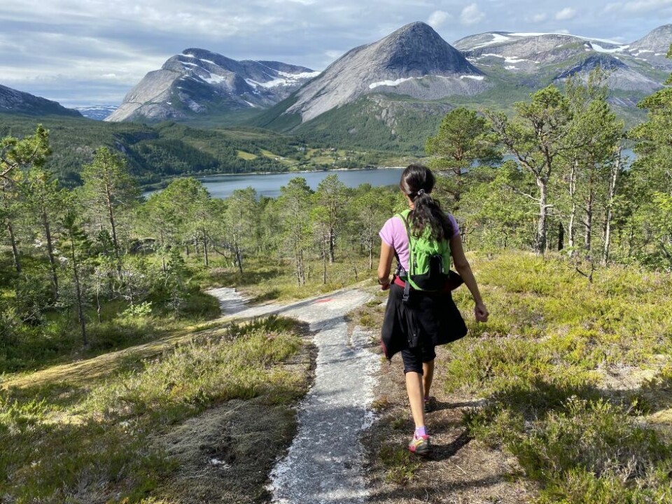 Litjeidtinden ligger som en pyramide ved Mørsvikfjorden. Her med utsikt mot fjellet på tur ned fra Kollen. Litjeidtinden ligger som en pyramide ved Mørsvikfjorden. Her med utsikt mot fjellet på tur ned fra Kollen. Foto: Eva S. Winther