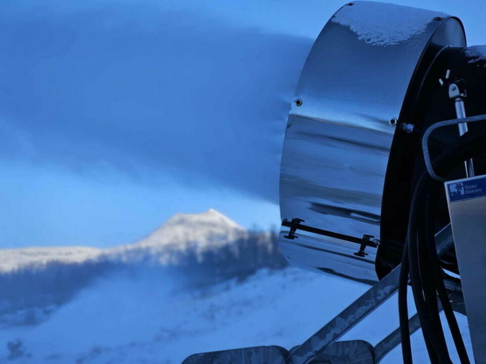 HALVVEIS. Snøkanonene i Sulitjlema fjellandsby jobbet godt i kuldeperioden nylig og har 4,5 døgn med produksjon bak seg. Det er rundt halvparten av det som skal til for at alpinanlegget skal kunne åpne hovedtraseen. HALVVEIS. Snøkanonene i Sulitjlema fjellandsby jobbet godt i kuldeperioden nylig og har 4,5 døgn med produksjon bak seg. Det er rundt halvparten av det som skal til for at alpinanlegget skal kunne åpne hovedtraseen. Foto: Sulitjelma fjellandsby