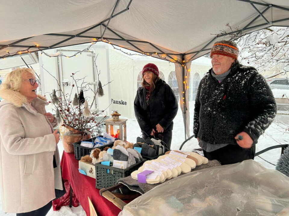 JULESTEMNING. Inger Ellen E. Orvin og Ole Orvin hadde egen stand der de solgte alpakka-produkter. Her i trivelig prat med Tone Jordbro. Alle foto: Lise BerntzenSNØ TIL BESVÆR. Snøen tok rotta på teltet til Bjørn Thomas Hansen, men den som ler sist ler som kjent best. Hansen tok med seg vogna i stedet.SNØ. Snøen lavet ned lørdag, men det satte ingen stopper for julemarkedet. Flere trådte til for å fjerne den tunge snøen som la seg på taket til det store utstillingsteltet.JULE-ALPAKKA. Alpakkaene var kledt i juleskjerf og halstørkle.NISSEMOR. Det var mange blide fjes å se blant utstillerne. Anja Nansmork stilte i nisselue for anledningen. JULESTEMNING. Inger Ellen E. Orvin og Ole Orvin hadde egen stand der de solgte alpakka-produkter. Her i trivelig prat med Tone Jordbro. Alle foto: Lise Berntzen
