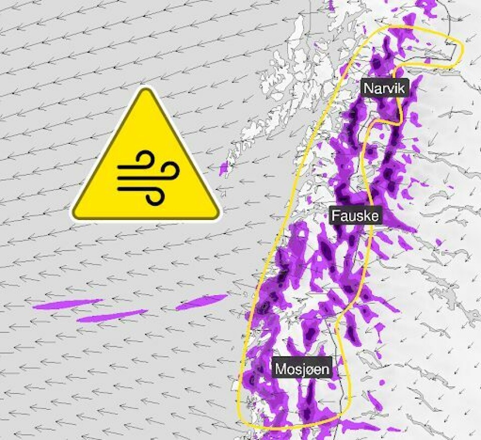VÆRMELDING. Meteorologene fra Meteorologisk institutt melder om kraftig fralandsvind i Nordland til helgen. VÆRMELDING. Meteorologene fra Meteorologisk institutt melder om kraftig fralandsvind i Nordland til helgen. Foto: Meteorologisk institutt.