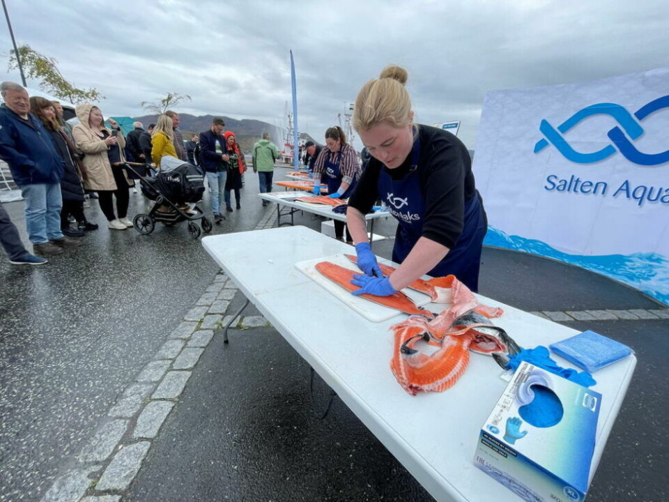 KONKURRANSE. Også i år blir det fileteringskonkurranse under matfestivalen. Her er bilde fra i fjor da Victoria Marlén Solbakk (t.h.) konkurrerte mot navnesøster og ordfører Marlen Rendall Berg. KONKURRANSE. Også i år blir det fileteringskonkurranse under matfestivalen. Her er bilde fra i fjor da Victoria Marlén Solbakk (t.h.) konkurrerte mot navnesøster og ordfører Marlen Rendall Berg. Foto: Helge Simonsen