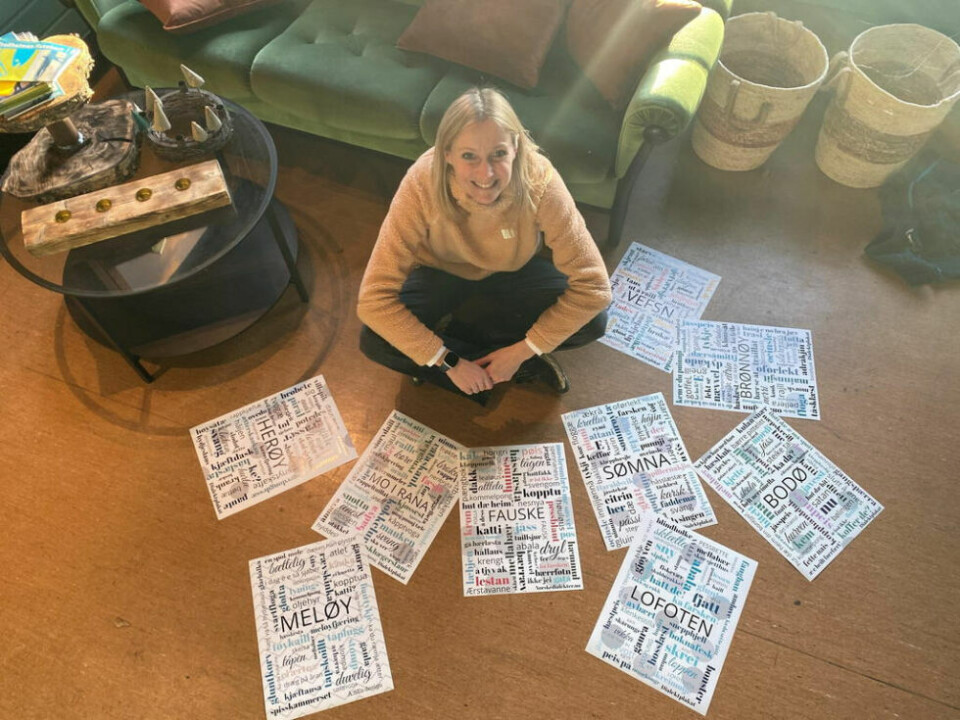 DIALEKT-SAMLER. Åse Børset skulle bare lage dialektplakat for hjemplassen Rindalen, men så ballet det på seg. Nå har hun laget rundt 200 forskjellige, blant annet fra Indre Salten. DIALEKT-SAMLER. Åse Børset skulle bare lage dialektplakat for hjemplassen Rindalen, men så ballet det på seg. Nå har hun laget rundt 200 forskjellige, blant annet fra Indre Salten. Foto: Foto: Anne Forsberg Røen