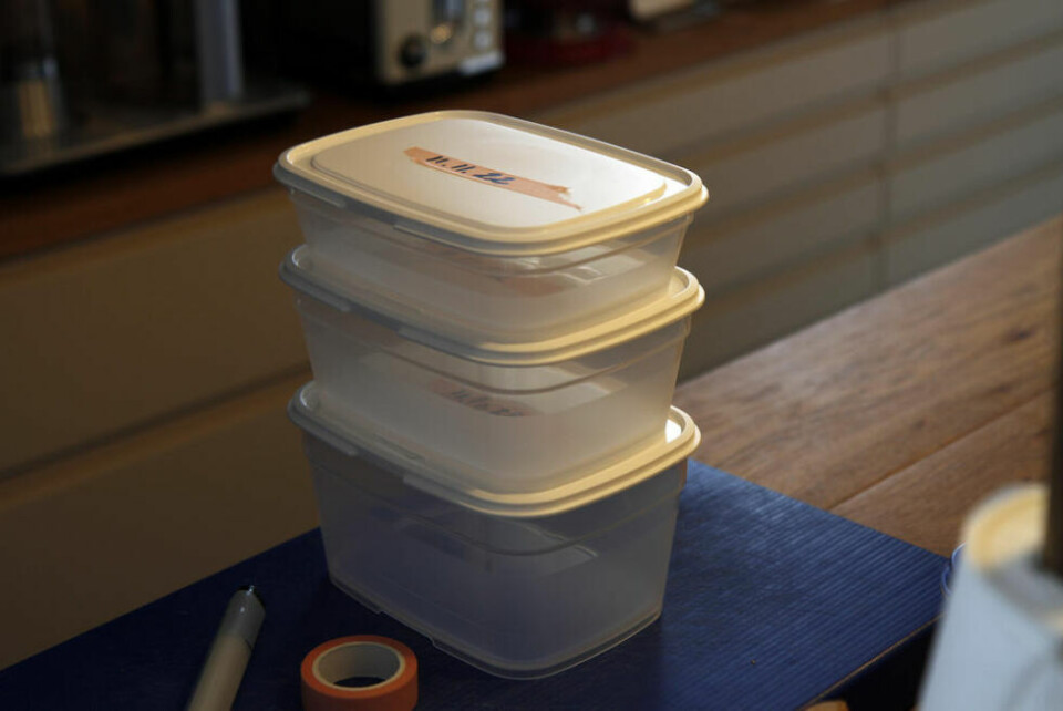 OPPBEVARING. Bokser som går i vaskemaskinen og er enkle å stable, gjør susen til restematen. Husk dato og innholdsbeskrivelse. OPPBEVARING. Bokser som går i vaskemaskinen og er enkle å stable, gjør susen til restematen. Husk dato og innholdsbeskrivelse. Foto: Morten Abrahamsen / NTB