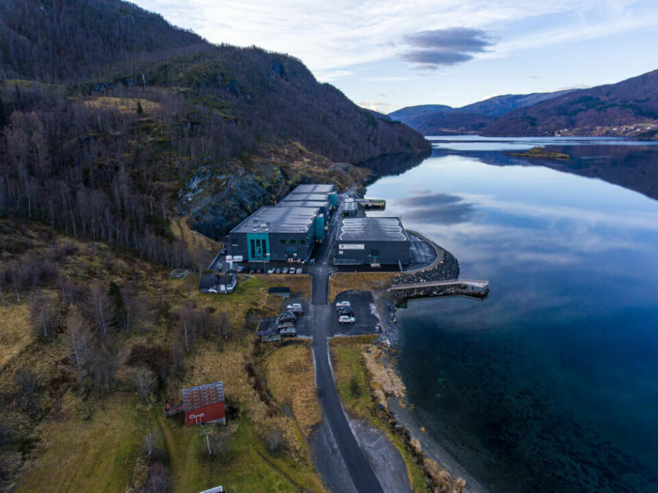 LOKALT. Benchmark Genetics Salten. LOKALT. Benchmark Genetics Salten. Foto: Thomas Morel