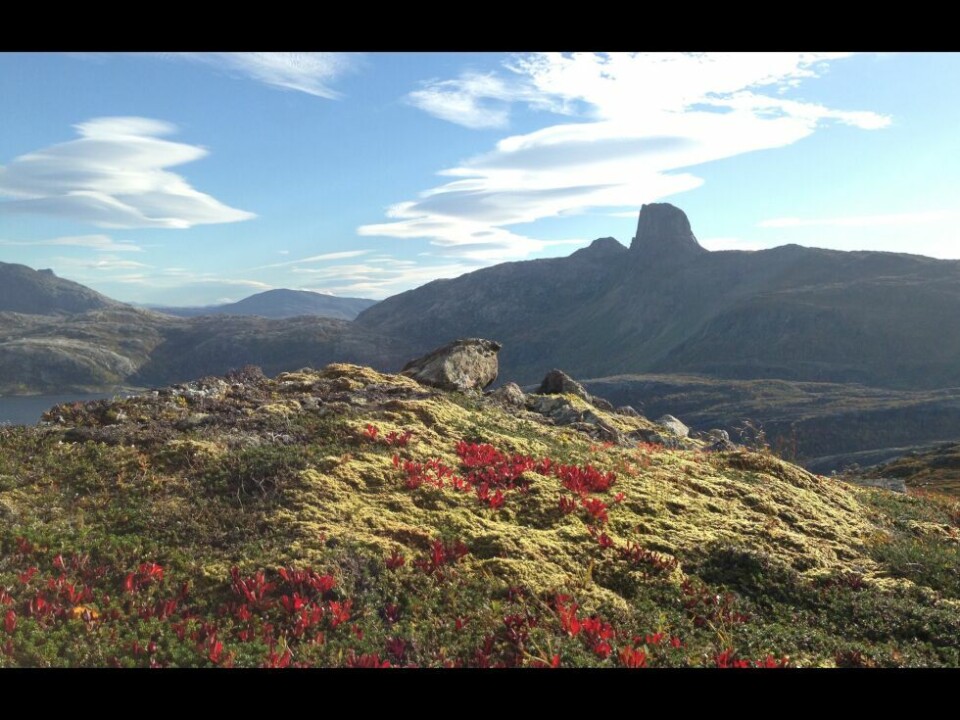 HØSTFARGER. Det er vel sjelden det er så vakkert ute i naturen som nå på høsten. HØSTFARGER. Det er vel sjelden det er så vakkert ute i naturen som nå på høsten. Foto: Eva S. Winther