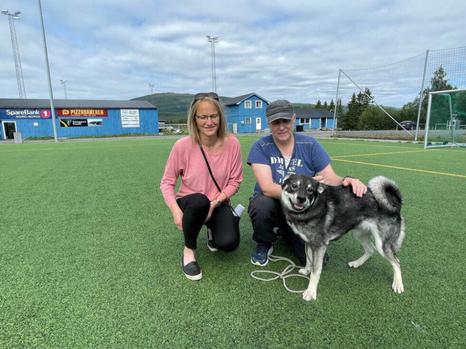 KLARE FOR HUNDEFEST. Om en ukes tid kommer det over 1300 hunder til Fauske stadion for å delta i Norsk Kennelklubbs internasjonale utstilling. Lisbeth Annie Endresen, Runar Korsvik og Cava på 14 måneder gleder seg veldig. KLARE FOR HUNDEFEST. Om en ukes tid kommer det over 1300 hunder til Fauske stadion for å delta i Norsk Kennelklubbs internasjonale utstilling. Lisbeth Annie Endresen, Runar Korsvik og Cava på 14 måneder gleder seg veldig. Foto: Helge Simonsen