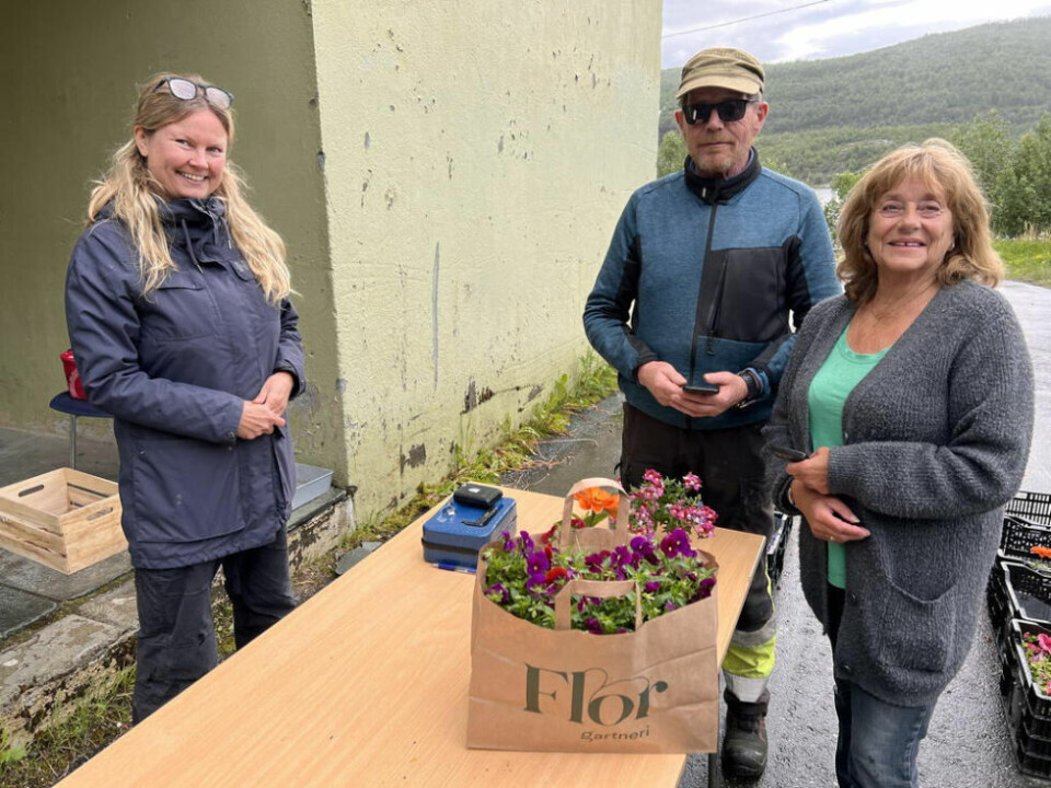 BLOMSTRENDE BEDRIFT. Kristine Mathisen tok med seg blomster fra gartneriet på Medås opp til Sulis der Ottar Skjellhaug og Karin Annie Eliassen var blant de som møtte opp til en hyggelig handel. BLOMSTRENDE BEDRIFT. Kristine Mathisen tok med seg blomster fra gartneriet på Medås opp til Sulis der Ottar Skjellhaug og Karin Annie Eliassen var blant de som møtte opp til en hyggelig handel. Foto: Espen Johansen