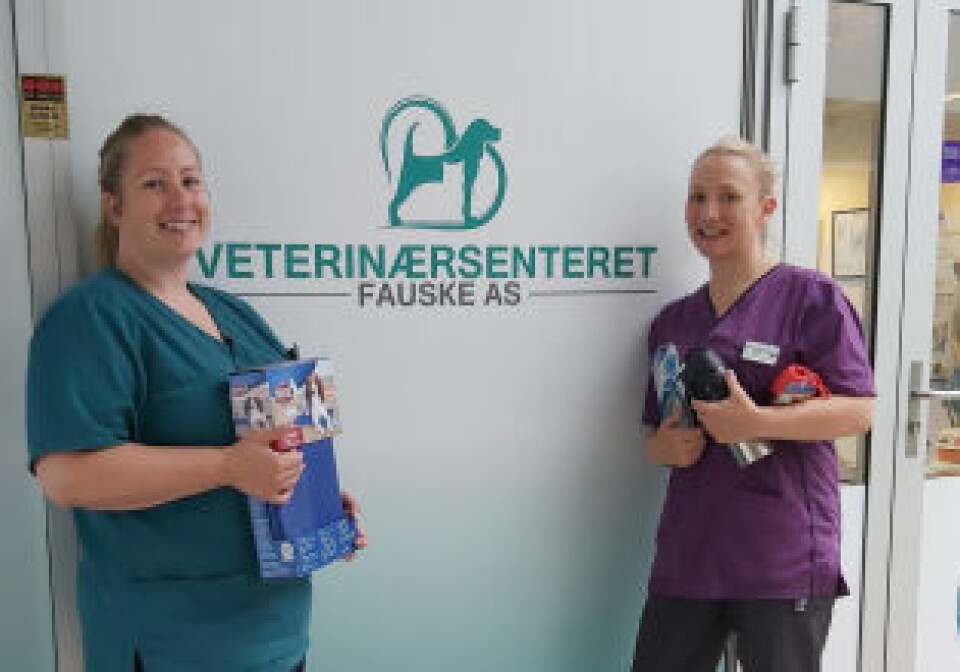 Veterinærene forklarer: - Jeg har opplevd å få inn en hund på grunn av overoppheting
