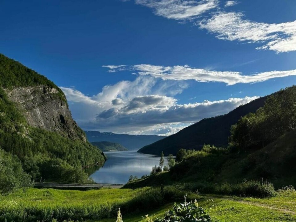 UTSIKT. Utsikten er ikke til å klage på i Aspfjorden. UTSIKT. Utsikten er ikke til å klage på i Aspfjorden. Foto: Stian Vaule
