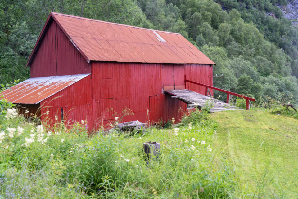 LÅVE. Vaule forteller at han vurderer å skaffe seg sau eller geit til gården. LÅVE. Vaule forteller at han vurderer å skaffe seg sau eller geit til gården. Foto: Anita Sjåvik