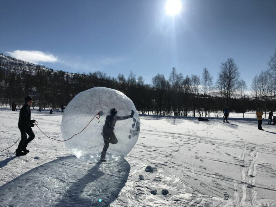 MASSER AV MORO. Det er ikke bare skigåing en kan oppleve under Reinhornrennet. Dette synet var å registrere under rennet i 2018. MASSER AV MORO. Det er ikke bare skigåing en kan oppleve under Reinhornrennet. Dette synet var å registrere under rennet i 2018. Foto: IL Stormfjell