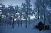 KALDT. Vinterland i Saaki, Sulitjelma 1.nyttårsdag. Temperaturen var nede i 32 minus og her var det vindstille. Foto: Grethe Erikstad, Bodø