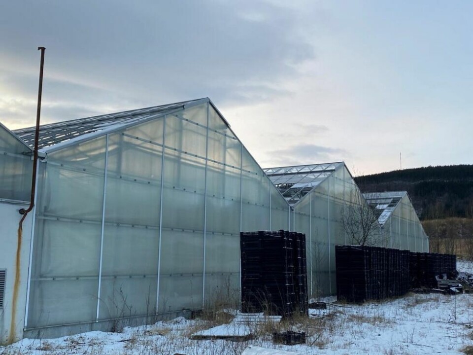 SKAL BORT. Sisoflorbygget har store skader og planlegges sanert. Nå jobbes det med å finne ut hva rivingen vil koste. SKAL BORT. Sisoflorbygget har store skader og planlegges sanert. Nå jobbes det med å finne ut hva rivingen vil koste. Foto: Eva S. Winther
