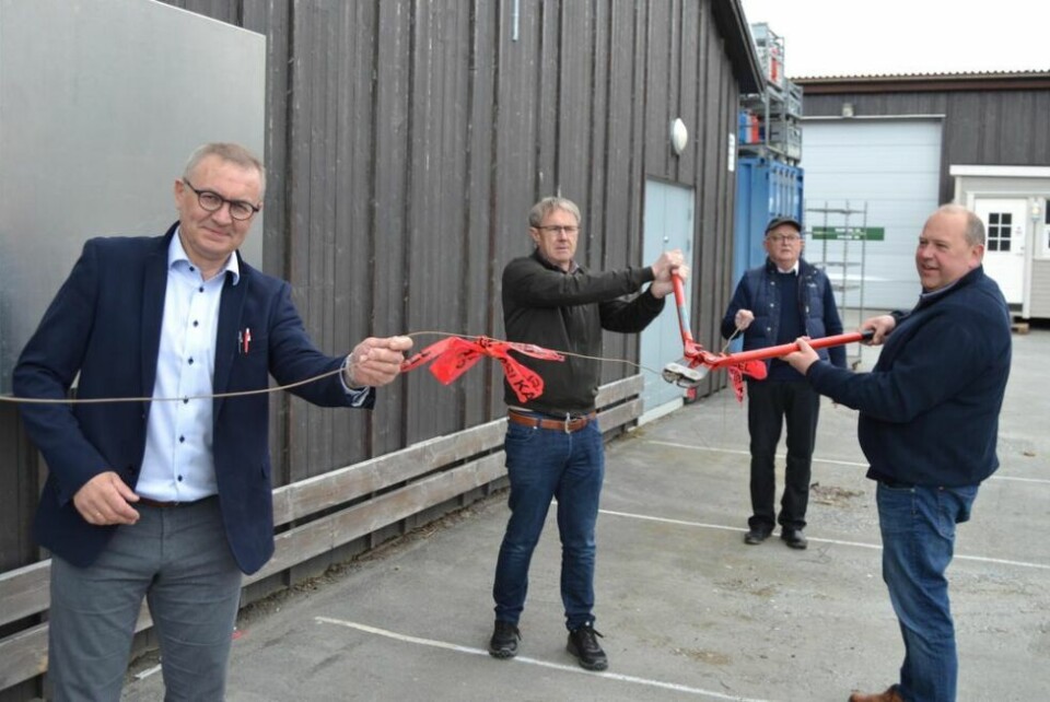 SYMBOLSK. Snorklipping av kobbertråd ble en symbolsk handling. Fra venstre rådmann i Beiarn, Ole Petter Nybakk, tildelingssjef i Tellenor, Bjørn Amundsen, næringssjef Bjørnar Brændmo og ordfører, Andre Krisrtoffersen SYMBOLSK. Snorklipping av kobbertråd ble en symbolsk handling. Fra venstre rådmann i Beiarn, Ole Petter Nybakk, tildelingssjef i Tellenor, Bjørn Amundsen, næringssjef Bjørnar Brændmo og ordfører, Andre Krisrtoffersen Foto: Ole Kristian Andreassen