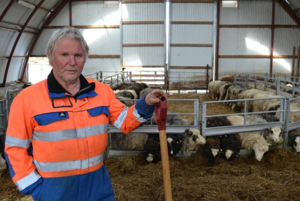 ANGRER IKKE. Sauebonde Frank Reidar Simonsen har ikke angret ett sekund på at han ble bonde. Det er både et fritt og fint liv. - Ønsker folk å tjene penger her i livet, så gjør noe annet enn å bli bonde. ANGRER IKKE. Sauebonde Frank Reidar Simonsen har ikke angret ett sekund på at han ble bonde. Det er både et fritt og fint liv. - Ønsker folk å tjene penger her i livet, så gjør noe annet enn å bli bonde. Foto: Ole Kristian Andreassen