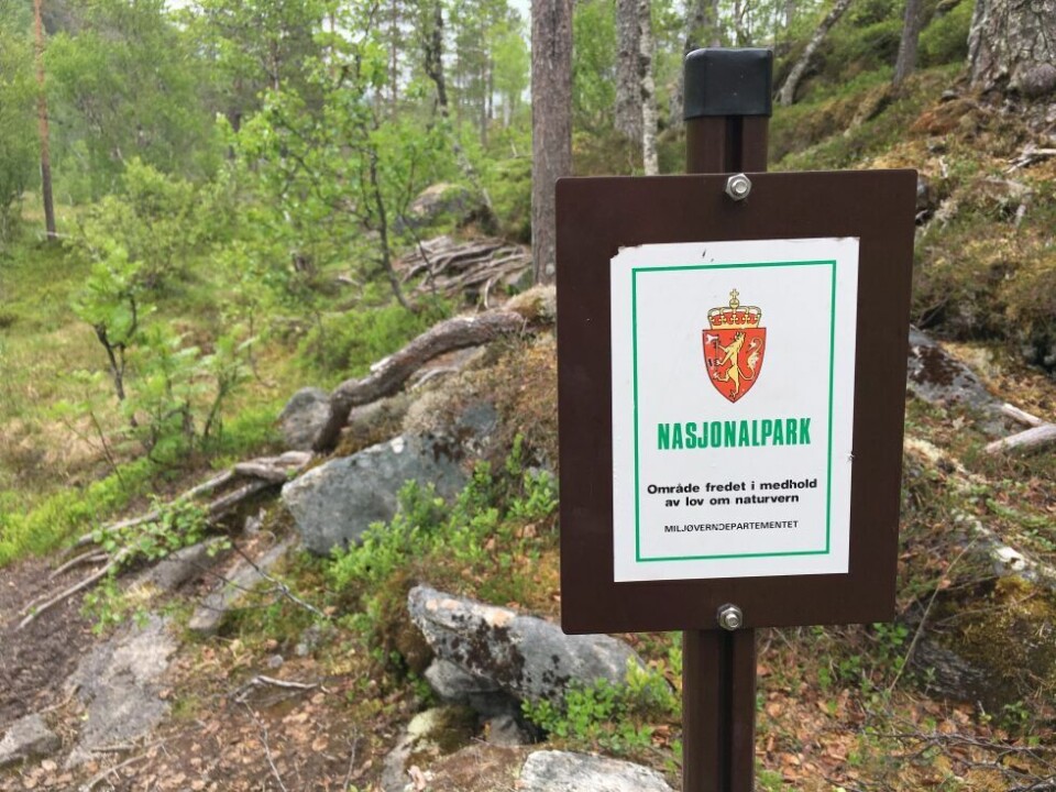 Rago er 50 år i år. Bursdagen var fredag 22. januar, men markeringen av jubileet er utsatt til tidlig høst på grunn av korona. Rago er 50 år i år. Bursdagen var fredag 22. januar, men markeringen av jubileet er utsatt til tidlig høst på grunn av korona. Foto: Eva S. Winther