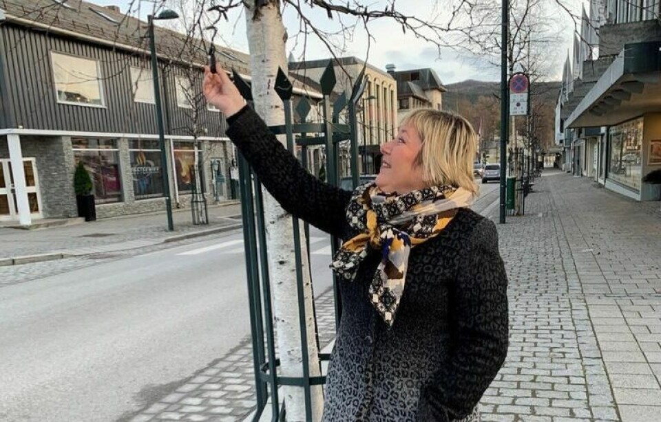 VINTERLYS. Daglig leder i Fauske næringsforum, Trine Stenvold ønsker å få vinterlysene i sentrum i orden i løpet av november. VINTERLYS. Daglig leder i Fauske næringsforum, Trine Stenvold ønsker å få vinterlysene i sentrum i orden i løpet av november. Foto: Frank Øvrewall