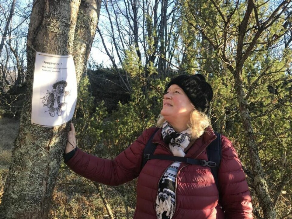 BILDEREBUS. Mona Nystad ved Saltdal bibliotek henger opp en av postene på tur ut til Tangodden. BILDEREBUS. Mona Nystad ved Saltdal bibliotek henger opp en av postene på tur ut til Tangodden. Foto: Sylvia Bredal
