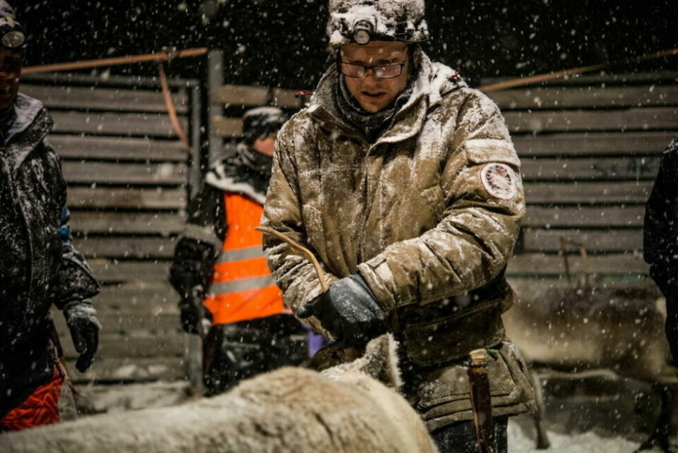 Per Thomas Kuhmunen og Kristine Maria Blind Helland har opprettet Saulo Reinprodukter DA. Per Thomas Kuhmunen og Kristine Maria Blind Helland har opprettet Saulo Reinprodukter DA. Foto: Tarjei Abelsen