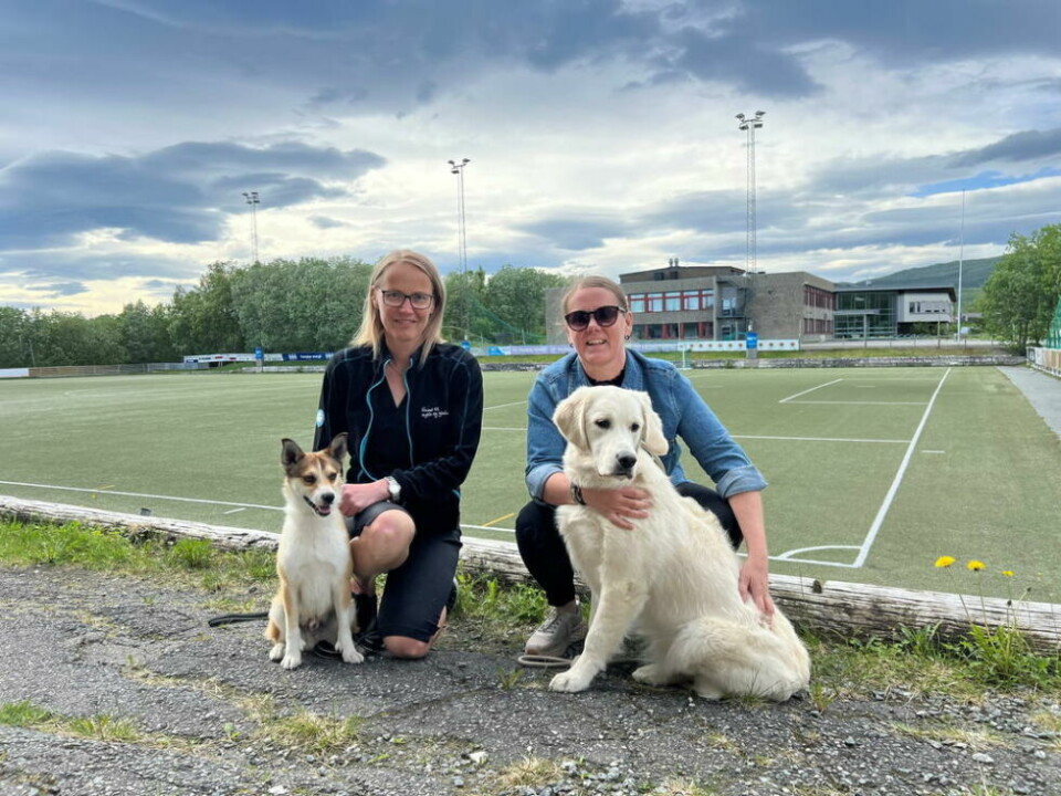 FRA FOTBALLSKO TIL HUNDEPOTER. Det er ventet om lag 2500 påmeldte hunder per dag fordelt på 22 utstillingsringer under årets NKK-utstilling på Fauske. (f.v) Lisbeth Endresen, leder for Norsk Kennel Klub region Nordland og styremedlem Toril Aunan var denne uka på Fauske for å se på områdene som skal brukes til utstillingen. Fauske stadion er blant områdene som vil bli brukt til utstillingsringer for hunder denne helga. FRA FOTBALLSKO TIL HUNDEPOTER. Det er ventet om lag 2500 påmeldte hunder per dag fordelt på 22 utstillingsringer under årets NKK-utstilling på Fauske. (f.v) Lisbeth Endresen, leder for Norsk Kennel Klub region Nordland og styremedlem Toril Aunan var denne uka på Fauske for å se på områdene som skal brukes til utstillingen. Fauske stadion er blant områdene som vil bli brukt til utstillingsringer for hunder denne helga. Foto: Lise Berntzen