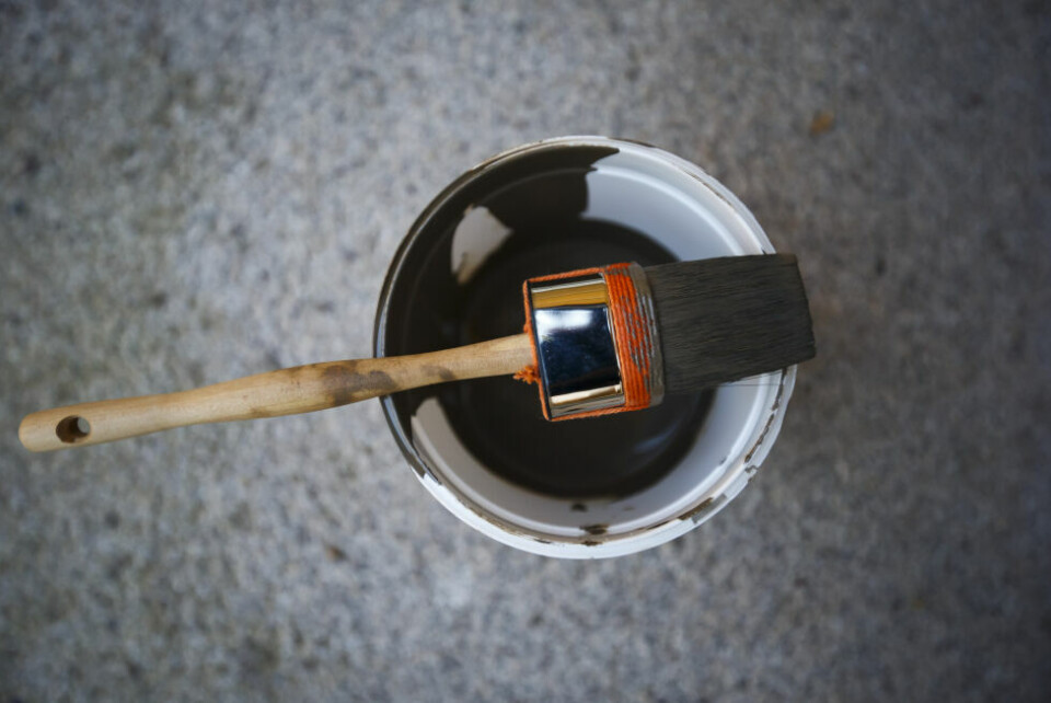 Starter nytt malerfirma i Saltdal Foto: NTB