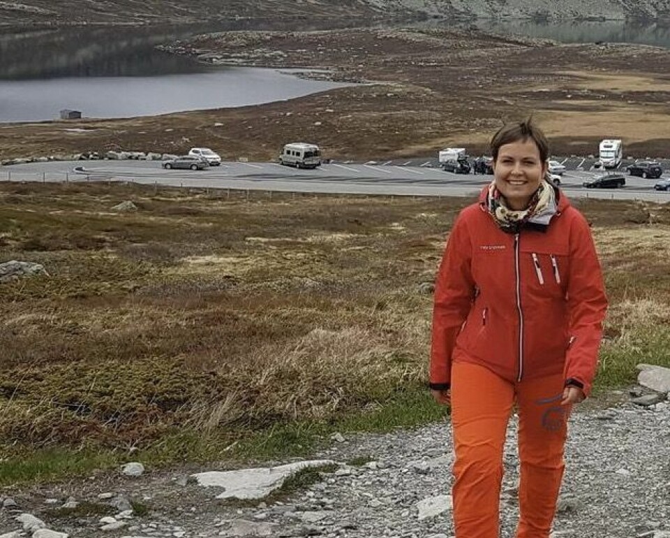 Torill Mørkhagen (55) blir ny kommunedirektør i Sørfold. Torill Mørkhagen (55) blir ny kommunedirektør i Sørfold. Foto: Privat