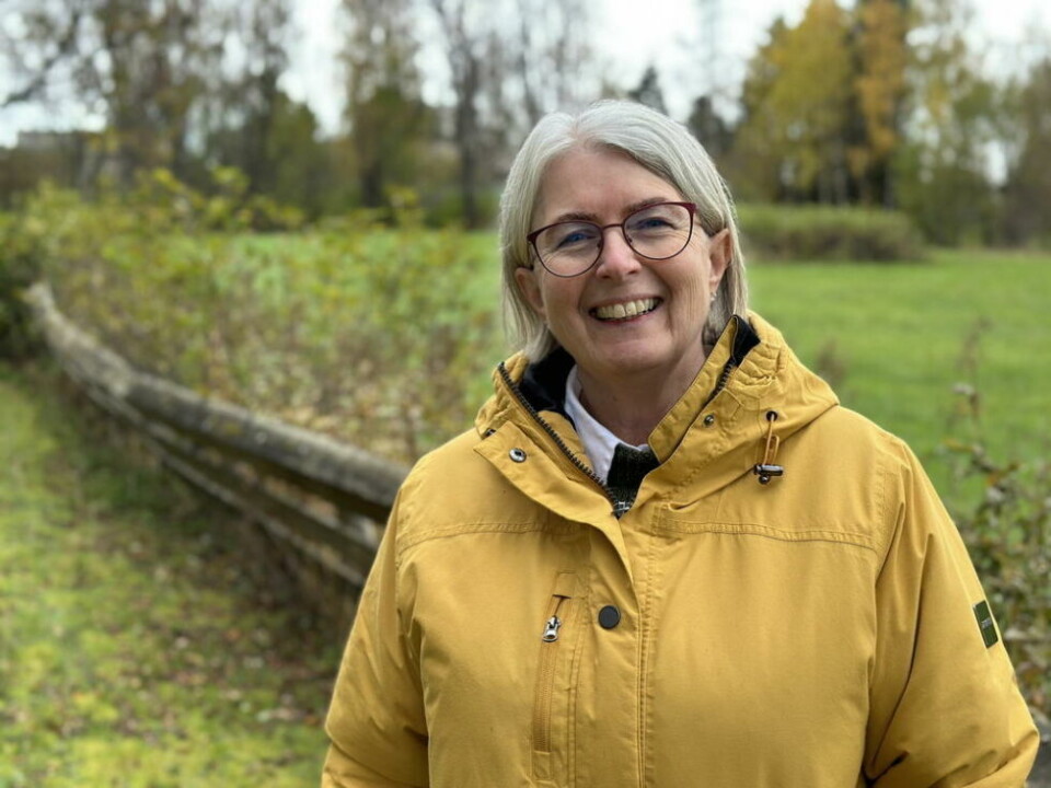 DELER KUNNSKAP. - Det er bra at det er kommet litt mer fokus på kreftpasienter og de som jobber med dem. Det er mye behandling som foregår utenfor sykehuset. Jeg jobber mye for at det skal være kunnskap igjen etter meg når jeg blir pensjonist, sier Merete Hansen, kreftsykepleier i Fauske. DELER KUNNSKAP. - Det er bra at det er kommet litt mer fokus på kreftpasienter og de som jobber med dem. Det er mye behandling som foregår utenfor sykehuset. Jeg jobber mye for at det skal være kunnskap igjen etter meg når jeg blir pensjonist, sier Merete Hansen, kreftsykepleier i Fauske. Foto: Erica Restoften