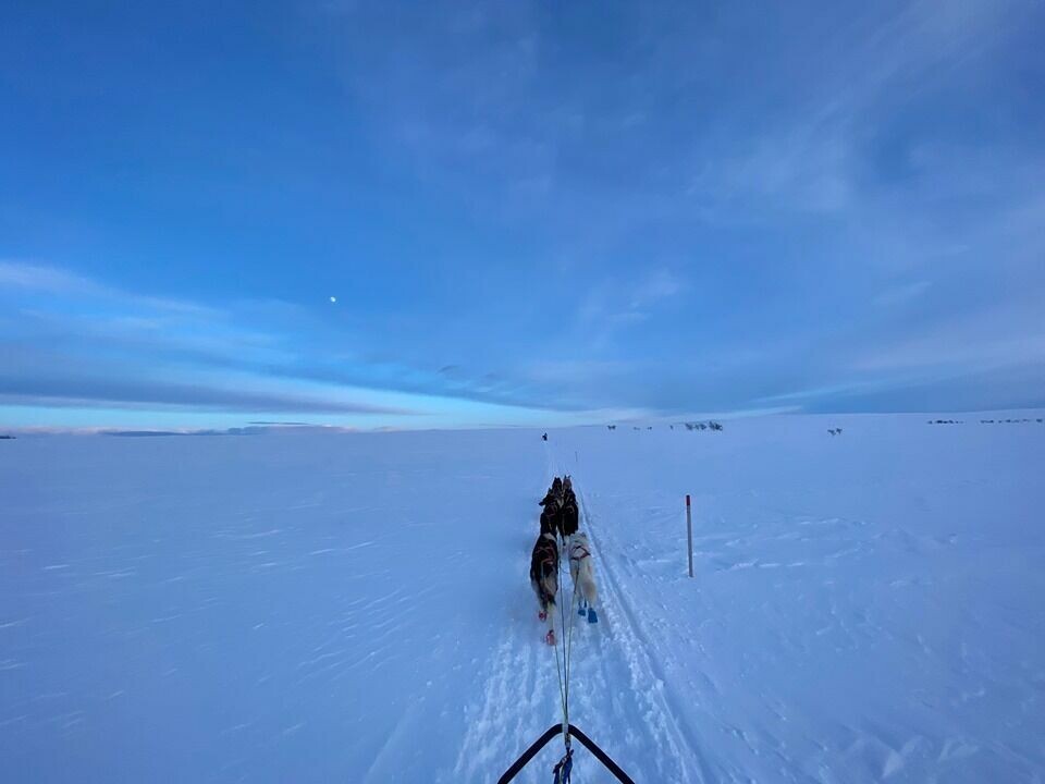 AVGÅRDE. Hundespannet til Christine Karijord ville ikke ligge i ro så lenge ved Masi. Nå har de satt kursen mot Kautokeino. AVGÅRDE. Hundespannet til Christine Karijord ville ikke ligge i ro så lenge ved Masi. Nå har de satt kursen mot Kautokeino. Foto: Christine Karijord