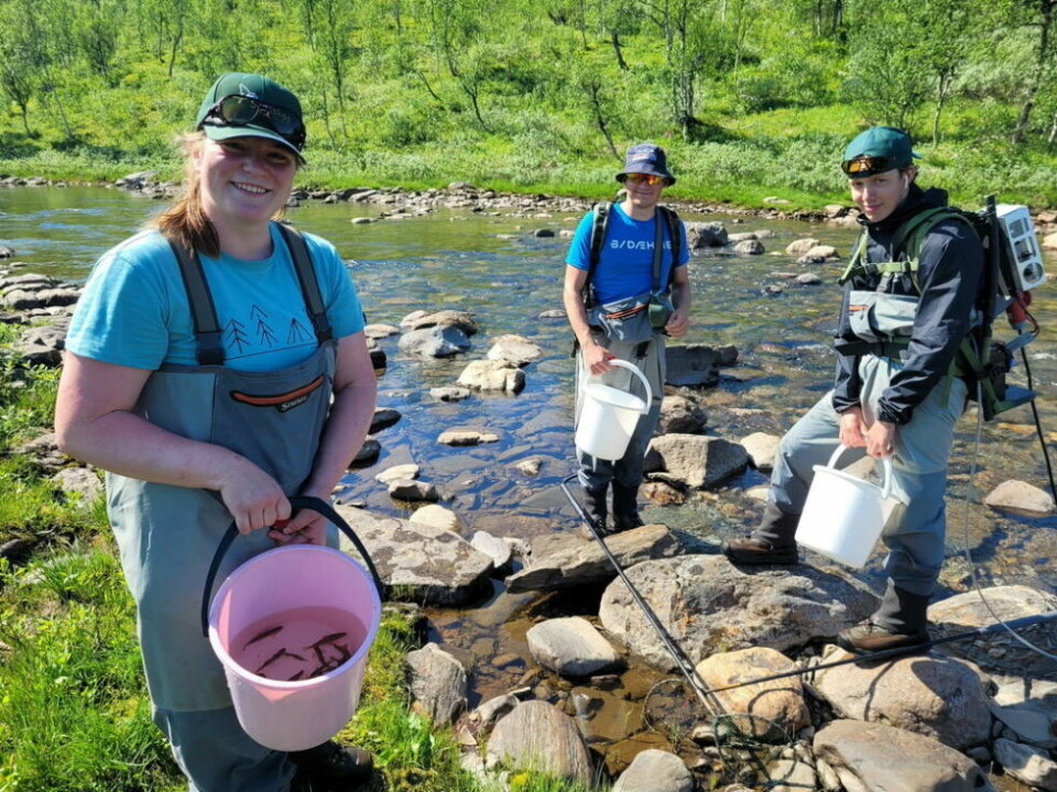 FLYTTER FISK. De er ungdommer med en høyst uvanlig sommerjobb. Fra venstre: Mariann Martinussen, Amund Kleist Godal og Vegard Veisetaune FLYTTER FISK. De er ungdommer med en høyst uvanlig sommerjobb. Fra venstre: Mariann Martinussen, Amund Kleist Godal og Vegard Veisetaune Foto: Tore Veisetaune