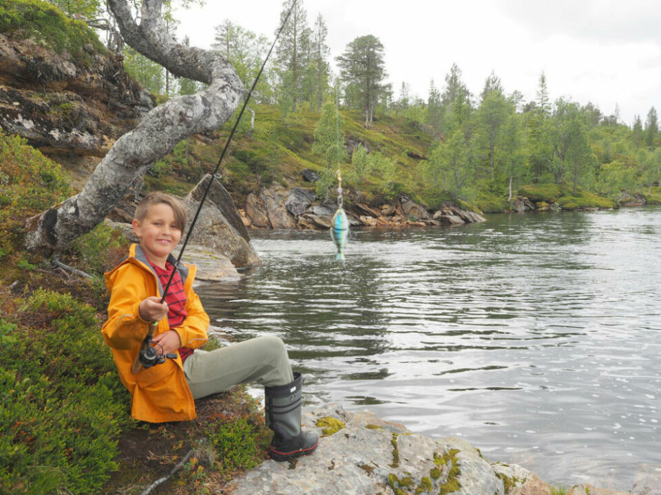 FISKEGLEDE. Nå skal 500 fiskestenger spre fiskefeber hos flere barn og unge. FISKEGLEDE. Nå skal 500 fiskestenger spre fiskefeber hos flere barn og unge. Foto: Magnus Beyer Brattli