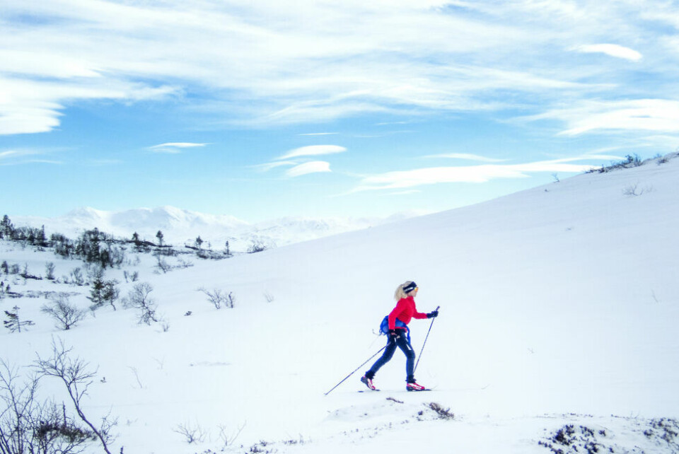 FINT VÆR. Torsdag og fredag kan bli fine turdager i Indre Salten. FINT VÆR. Torsdag og fredag kan bli fine turdager i Indre Salten. Foto: Gorm Kallestad / NTB