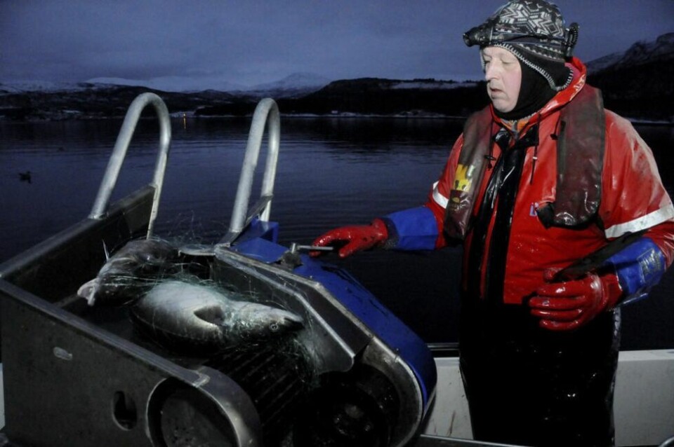 TIL ROGNAN. 'Byfiskern' Bård Larsen utvider salgsområdet, og tirsdag kommer han for å selge fisk ved kaia på Rognan. TIL ROGNAN. 'Byfiskern' Bård Larsen utvider salgsområdet, og tirsdag kommer han for å selge fisk ved kaia på Rognan. Foto: Arild Bjørnbakk