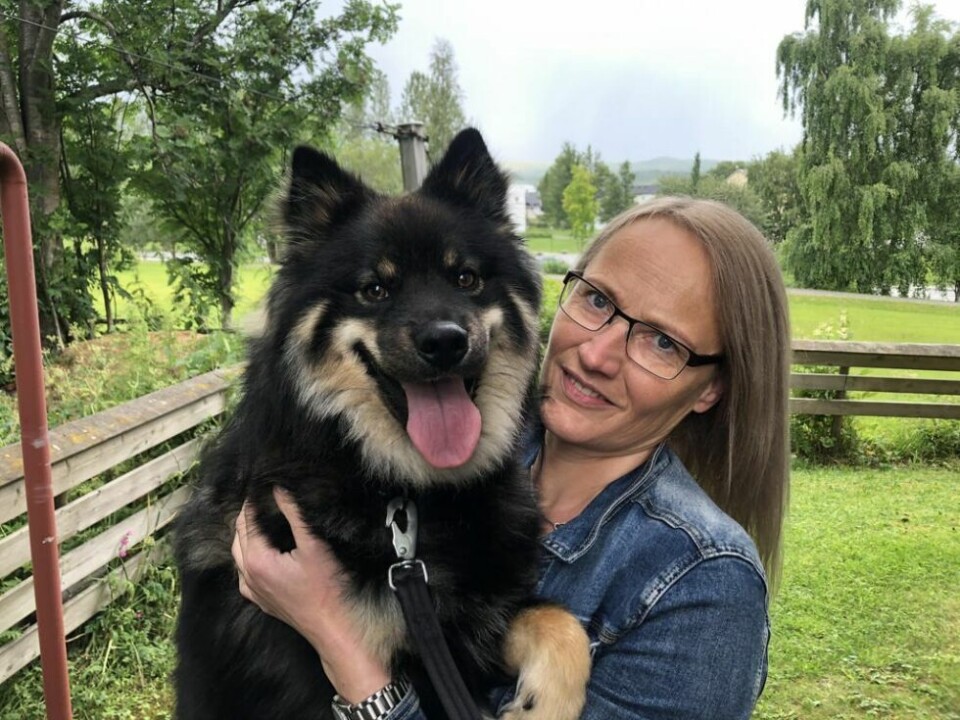 GLEDER SEG. Leder i Norsk Kennelklubb Nordland, Lisbeth Annie Endresen, ser fram til at et sted mellom 1500 og 2000 hunder skal komme til Fauske i helga. Her sammen med den finske lapphunden Frost. GLEDER SEG. Leder i Norsk Kennelklubb Nordland, Lisbeth Annie Endresen, ser fram til at et sted mellom 1500 og 2000 hunder skal komme til Fauske i helga. Her sammen med den finske lapphunden Frost. Foto: Helge Simonsen
