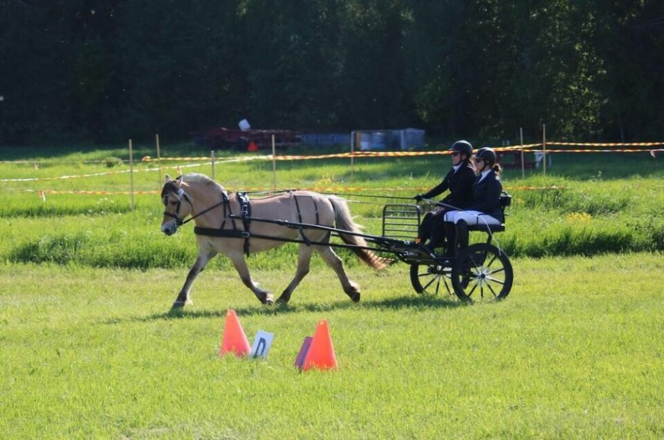 KJØRTE TIL SEIER. Kusk Nora Engan med hesten Embla Vinje og groom (medhjelper), tvillingsøster Gina Engan, gjorde det bra på kjørestevne i Sverige sist helg. KJØRTE TIL SEIER. Kusk Nora Engan med hesten Embla Vinje og groom (medhjelper), tvillingsøster Gina Engan, gjorde det bra på kjørestevne i Sverige sist helg. Foto: Mariell Strøm