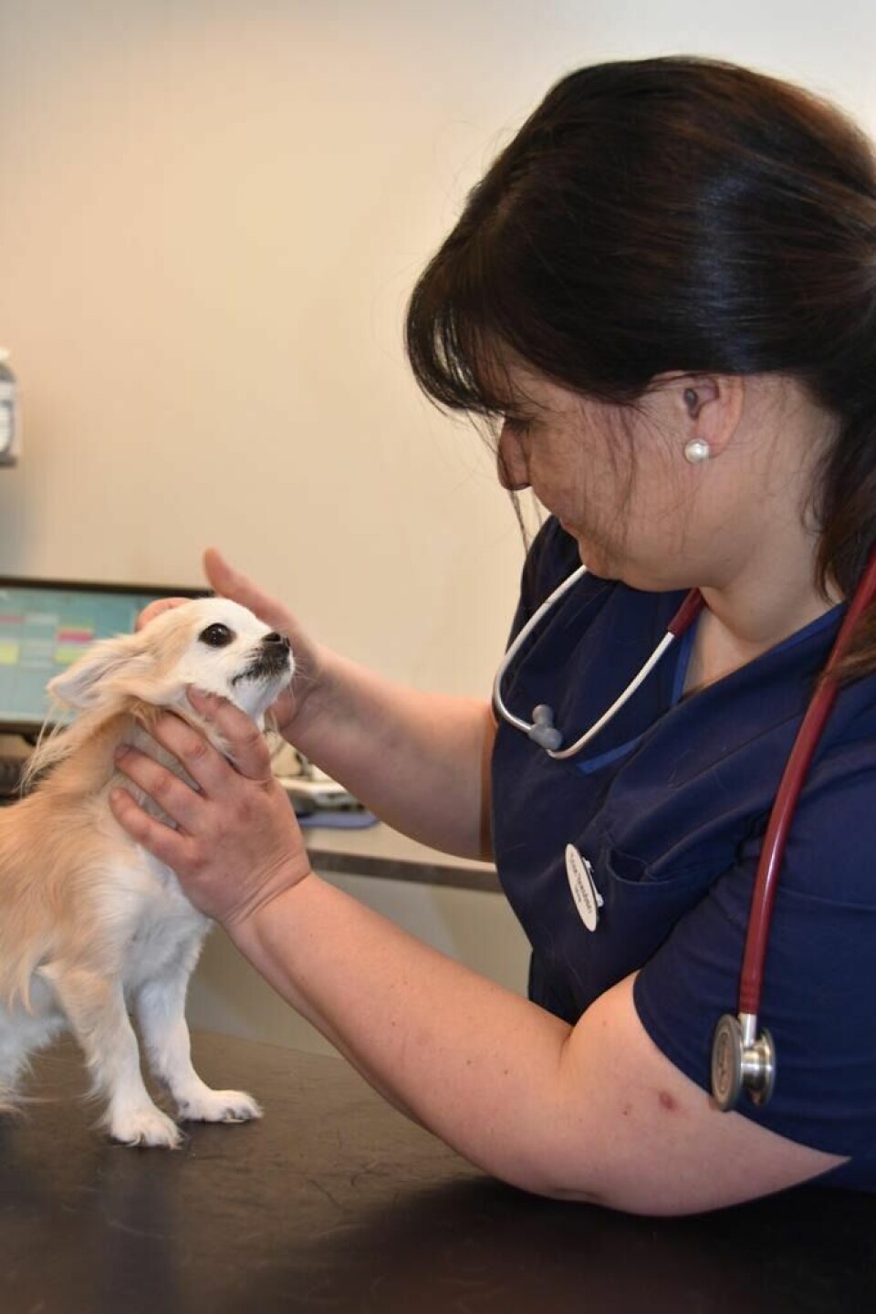 Kontakt veterinær. Veterinær Trine Brændmo anbefaler å kontakte veterinær før man tar med seg katten eller hunden på ferie. Kontakt veterinær. Veterinær Trine Brændmo anbefaler å kontakte veterinær før man tar med seg katten eller hunden på ferie. Foto: Linn Braseth-Gulliksen