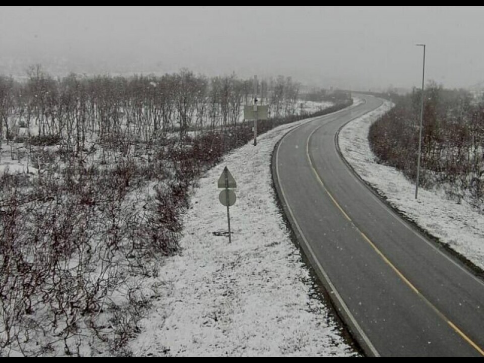 Klokken 8.45 tirsdag morgen var det snø i lufta ved riksvei 77 over Graddis. Klokken 8.45 tirsdag morgen var det snø i lufta ved riksvei 77 over Graddis. Foto: Statens vegvesen webkamera