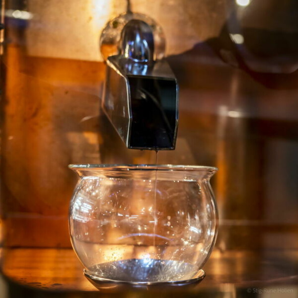 DE FØRSTE DRÅPENE. Denne helgen feires det at de første edle dråpene har rent og er fylt på tønner. DE FØRSTE DRÅPENE. Denne helgen feires det at de første edle dråpene har rent og er fylt på tønner. Foto: Stig Rune Holien