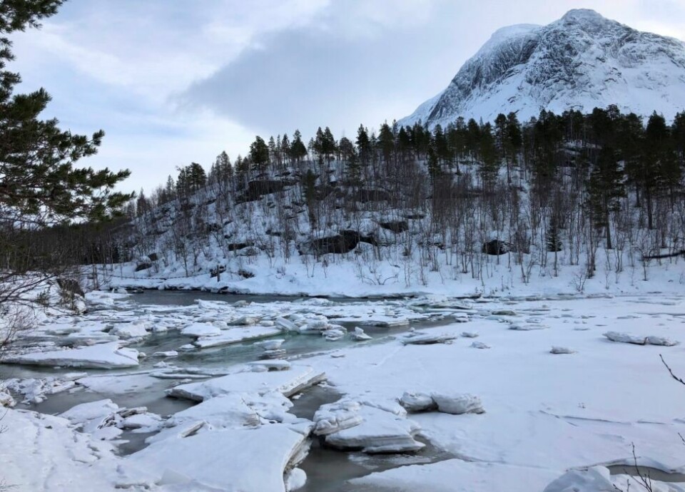 ETTER MILDVÆR. Isen er gått opp på elva i Gjerdalen i Sørfold, men vannene er stort sett fine å ferdes på nå som det er blitt kaldere i været igjen. ETTER MILDVÆR. Isen er gått opp på elva i Gjerdalen i Sørfold, men vannene er stort sett fine å ferdes på nå som det er blitt kaldere i været igjen. Foto: Tore Veisetaune/Statskog fjelltjenesten