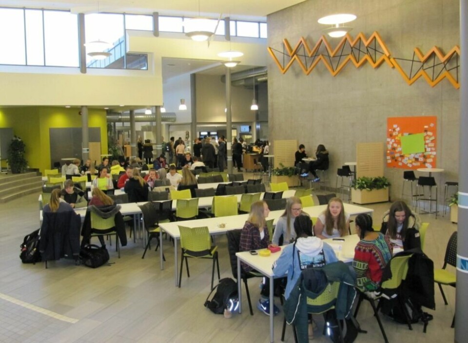 ØNSKER ENDRING. - Vi må få en bedre balanse mellom yrkesfag og studieforberedende fag i Nordland, sier fylkesråd for utdanning Hild-Marit Olsen (Ap). Stadig færre velger studieforberedende fag. Arkivfoto ØNSKER ENDRING. - Vi må få en bedre balanse mellom yrkesfag og studieforberedende fag i Nordland, sier fylkesråd for utdanning Hild-Marit Olsen (Ap). Stadig færre velger studieforberedende fag. Arkivfoto