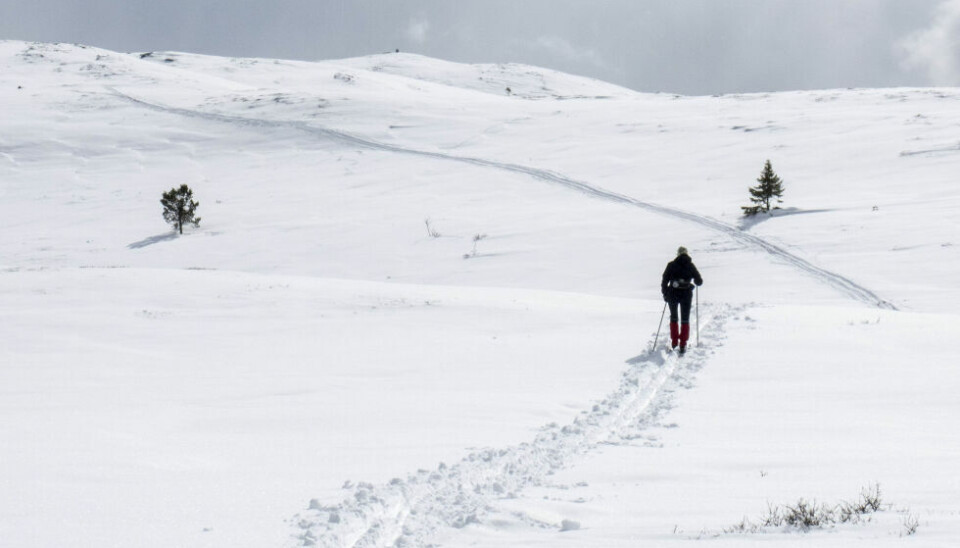 Røde Kors Hjelpekorps i Nordland er i beredskap i påsken.