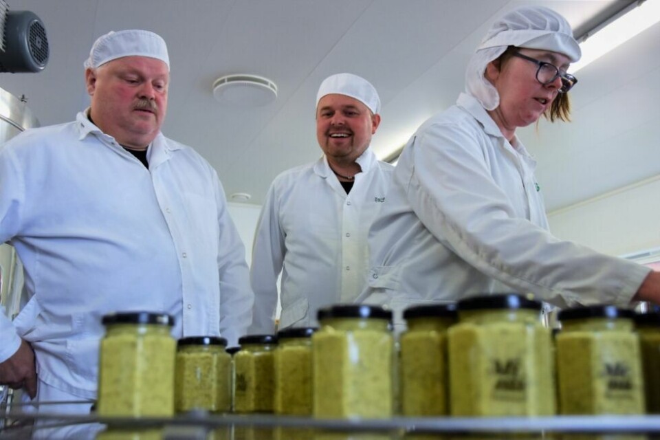 GODT ARBEIDSMILJØ. Stein Arild Engeskaug, Lennart Nystad og Lillian Andreassen er ansatt i sennepsproduksjonen og sørger for å forsyne hele landet med den smaksrike Mimi-sennepen. Alle foto: Victoria FinstadHOLDT TALE. Ordfører Monika Sande var også invitert på årets viktigste frokost. Her sier hun noen ord om BeiarVeksts betydning for kommunen.NYTT UTSTYR. Trond Trones, ansatt hos BeiarVekst, sørger for å forsegle sennepsglassene fylt med havsennep. Etter frokosten fikk politikerne omvisning i produksjonen. GODT ARBEIDSMILJØ. Stein Arild Engeskaug, Lennart Nystad og Lillian Andreassen er ansatt i sennepsproduksjonen og sørger for å forsyne hele landet med den smaksrike Mimi-sennepen. Alle foto: Victoria Finstad
