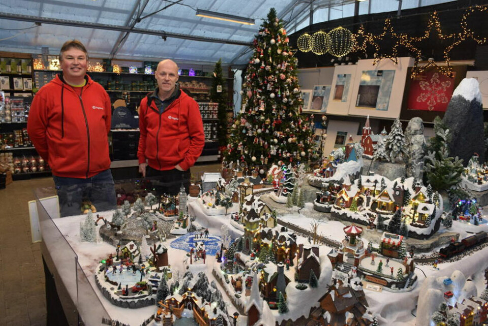 SKAPER STEMNING. Julebyen er et populært innslag i butikken til Hageland Skogholt. - Noe av målet med julebyen er at folk skal kunne gå og se og kose seg, og ha ei stille stund innimellom alt stresset, sier daglig leder Tor Haugberg (t.h.). Her sammen med Tor Odin Bertheussen. Alle foto: Eva S. WintherMAT PÅ TREET. Du vil ikke tro hva som finnes av julekuler! Liker du hamburger og pommes frites, vil du kanskje kjøpe disse to.ULIKE NYANSER. Julestjerner finnes i mange fargevarianter. Også blå og lilla.FORSKJELLIG SMAK. Kunstige juletrær finnes i flere varianter, for eksempel med og uten dimming, og i ulike grader av tetthet. - Til syvende og sist handler det om hva du synes er fint, sier Tor Haugberg. SKAPER STEMNING. Julebyen er et populært innslag i butikken til Hageland Skogholt. - Noe av målet med julebyen er at folk skal kunne gå og se og kose seg, og ha ei stille stund innimellom alt stresset, sier daglig leder Tor Haugberg (t.h.). Her sammen med Tor Odin Bertheussen. Alle foto: Eva S. Winther