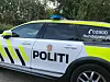HUNDEPATRULJE. Politiet søkte med hundepatrulje da bilfører ikke var å se i nærheten av bilen som kjørte utfor veien ved Nes i Valnesfjord. Foto: Sylvia Bredal