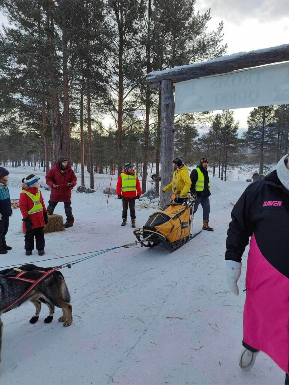 I MÅL. Richard Diset klarte å disponere hundespannet sitt godt på harde og raske spor og kjørte inn til en solid 2. plass. I MÅL. Richard Diset klarte å disponere hundespannet sitt godt på harde og raske spor og kjørte inn til en solid 2. plass. Foto: Privat